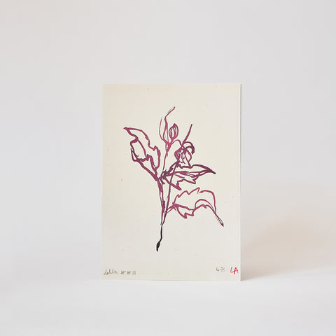 atelier auge print | dahlia leaves