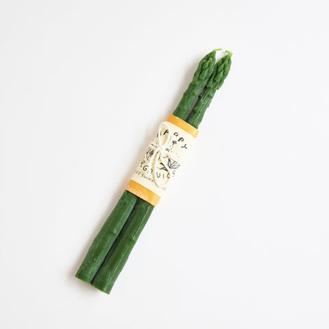 asparagus beeswax candle tapers | pair