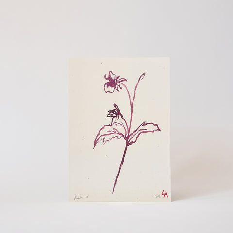 atelier auge print | dahlia bud