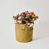 francli canvas tool bucket | tan