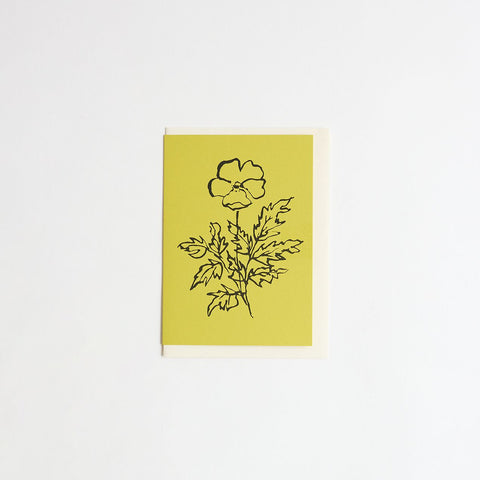 atelier auge card | silverweed